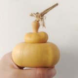 Money Bag Eight Treasures Gourd Seeds – Unique Variety, Easy to Grow, Suitable for Garden or Pot Planting