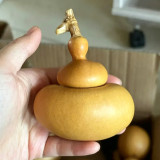 Money Bag Eight Treasures Gourd Seeds – Unique Variety, Easy to Grow, Suitable for Garden or Pot Planting