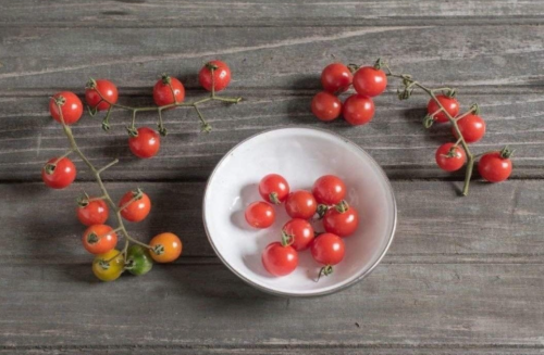 Candyland Red Currant Tomato Seeds