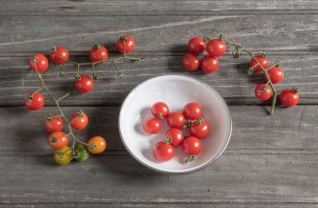 Candyland Red Currant Tomato Seeds