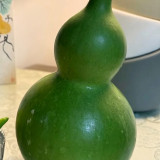 Jade Green Gourd Seeds – Well-proportioned shape, easy to grow, suitable for beginners and home gardening enthusiasts