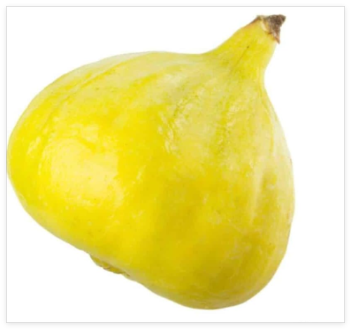 Desert King Fig Seeds for Garden Planting