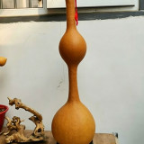 Da San Ting Gourd Seeds - High-Quality Easy-to-Grow Variety, Unique Shape, Simple to Plant, Highly Ornamental Value