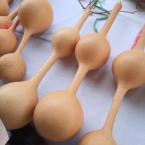 Da San Ting Gourd Seeds - High-Quality Easy-to-Grow Variety, Unique Shape, Simple to Plant, Highly Ornamental Value