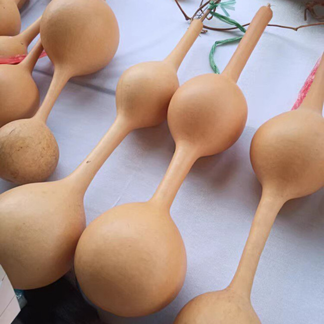 Da San Ting Gourd Seeds - High-Quality Easy-to-Grow Variety, Unique Shape, Simple to Plant, Highly Ornamental Value