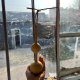 Xiaosan Ting Gourd Seeds – Unique shape, wide adaptability, easy to grow, perfect for home gardening