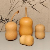 Guoguo Gourd Seeds – High-Yield, Easy to Grow, Highly Adaptable, Ideal for Handicrafts & Outdoor Beautification
