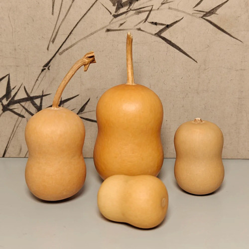 Guoguo Gourd Seeds – High-Yield, Easy to Grow, Highly Adaptable, Ideal for Handicrafts & Outdoor Beautification