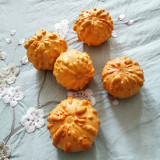 Small Bumpy Gourd Seeds – Unique Appearance, Easy to Grow, Ideal for Handicrafts & Decoration