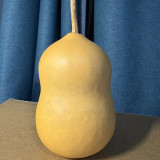 Guoguo Gourd Seeds – High-Yield, Easy to Grow, Highly Adaptable, Ideal for Handicrafts & Outdoor Beautification