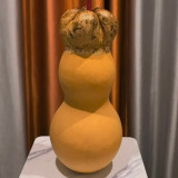 Small Lotus-head Gourd Seeds – Highly Ornamental, Easy to Grow and Maintain, Perfect for Courtyards and Gardens