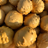 Extra-large Bumpy Gourd Seeds – Easy to Grow, Sun-Loving, Highly Adaptable, Ideal for Gardening Enthusiasts