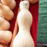 Slender-waisted lotus-head gourd Seeds - Unique ornamental variety, easy to grow, suitable for home gardening