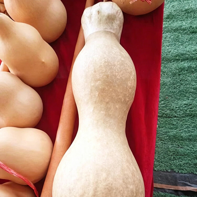 Slender-waisted lotus-head gourd Seeds - Unique ornamental variety, easy to grow, suitable for home gardening