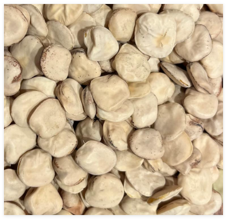 Cicerchia Lathyrus sativus Chickpea Ancient Legume Bean Heirloom Seed Packet