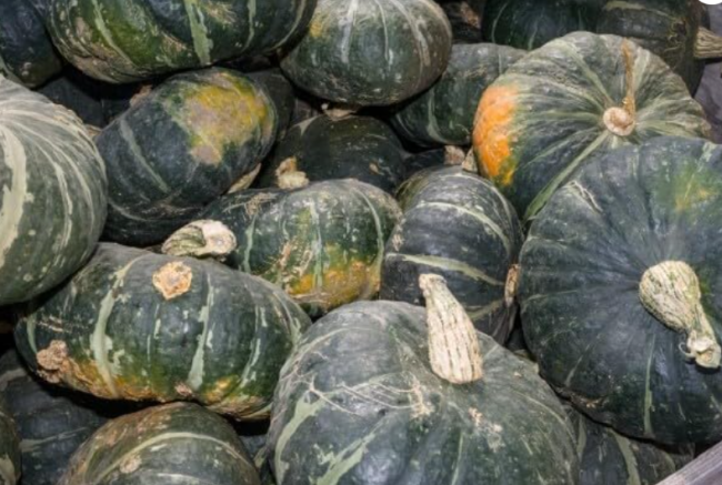Buttercup Squash Seeds Burgess Buttercup Winter Vegetable