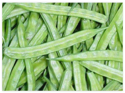 Navbahar Cluster Bean Seeds Heirloom, Organic, Non GMO, Vegetables