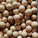 Egg Gourd Seeds – Premium ornamental variety, high-yield, easy to grow, ideal for home gardening