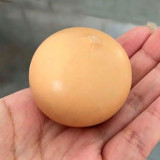 Egg Gourd Seeds – Premium ornamental variety, high-yield, easy to grow, ideal for home gardening