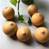 Egg Gourd Seeds – Premium ornamental variety, high-yield, easy to grow, ideal for home gardening