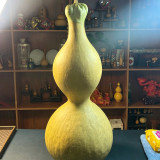 Extra-large Lotus-head Gourd Seeds – Easy to grow, low-maintenance, fast-growing, ideal for carvers and collectors