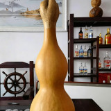 Extra-large Lotus-head Gourd Seeds – Easy to grow, low-maintenance, fast-growing, ideal for carvers and collectors