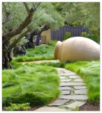NO MOW Lawn Grass Seed Dwarf Fine Fescue No Maintenance Alternative Lawn