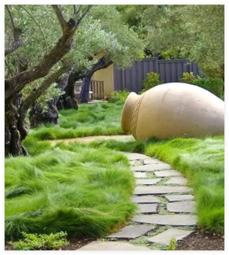 NO MOW Lawn Grass Seed Dwarf Fine Fescue No Maintenance Alternative Lawn