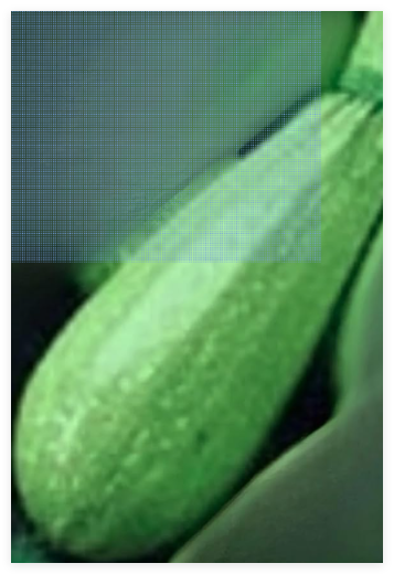Vegetable Marrow White Bush Summer Squash Non GMO Heirloom Seeds