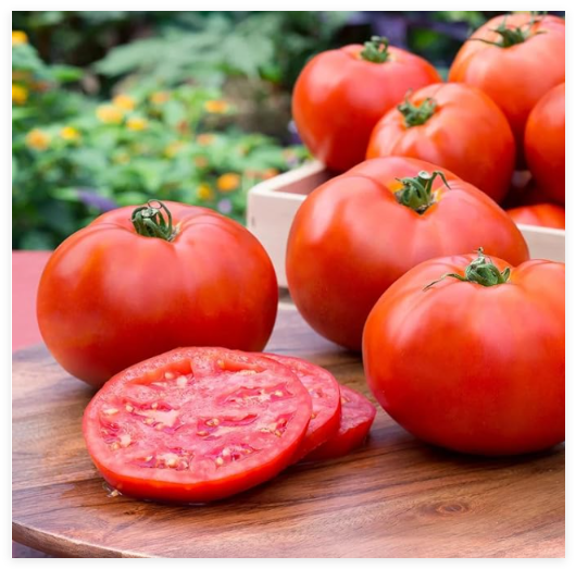 Better Boy Tomato Seeds Hybrid Non GMO Vegetable Garden
