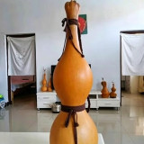 Extra-large Lotus-head Gourd Seeds – Easy to grow, low-maintenance, fast-growing, ideal for carvers and collectors