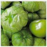 Grande Rio Verde Tomatillo Seeds Vegetable Heirloom Non-GMO