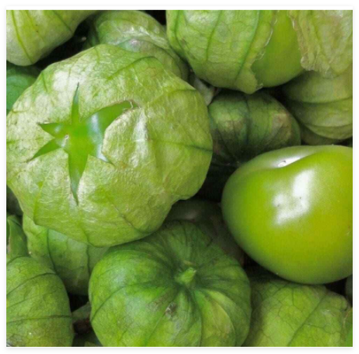 Grande Rio Verde Tomatillo Seeds Vegetable Heirloom Non-GMO