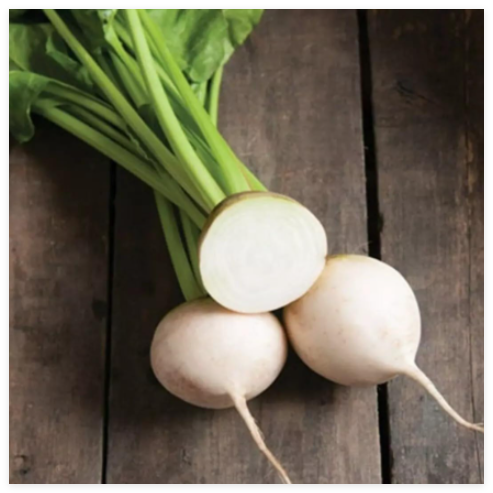 White Albino Beet Seeds - Heirloom - - Non GMO Fresh