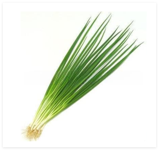 Small Shallot Bonsai Vegetable Bonsai Seeds
