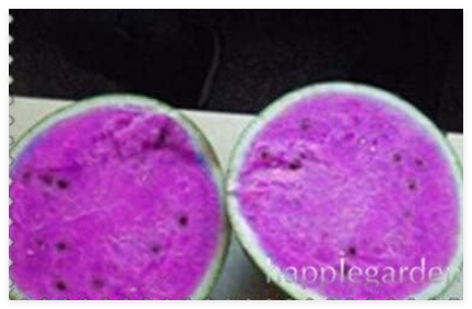 Watermelon Seeds (Color: 17)