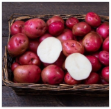 Red Norland Seed Potatos for Planting (2 Pounds)