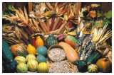 Three Sisters Garden Seeds ~ Indian Corn ~ Blue Hubbard Squash ~Yellow Pole Bean