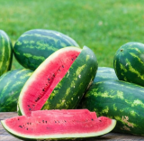 Sangria Watermelon Seeds Organic