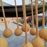Long Handle Gourd Seeds – Long-Handle Ornamental Variety, Sun-Loving, Easy to Grow, Unique Appearance, Versatile Use