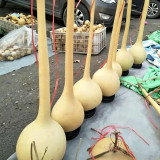 Long Handle Gourd Seeds – Long-Handle Ornamental Variety, Sun-Loving, Easy to Grow, Unique Appearance, Versatile Use