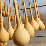 Long Handle Gourd Seeds – Long-Handle Ornamental Variety, Sun-Loving, Easy to Grow, Unique Appearance, Versatile Use