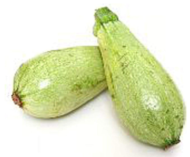 Lebanese White Bush Squash Seeds