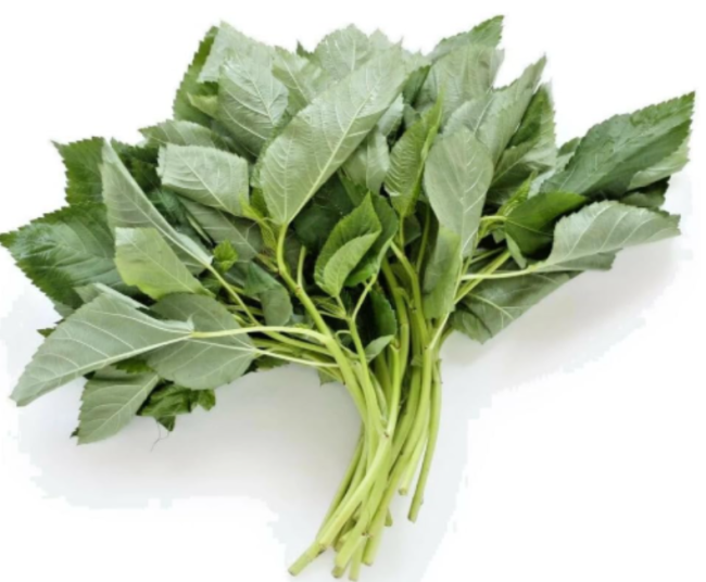 Molokhia - Egyptian Spinach Seeds,Rau Day,Saluyot Heirloom, Non-GMO