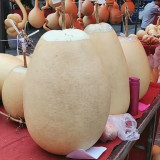 'Large Winter Melon' Gourd Seeds – Easy to Grow, Simple Maintenance, Versatile Use, Perfect for Courtyard Planting