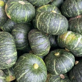 Chinese Pumpkin Seeds | Early Maturing, Chestnut Flavor, Thick Flesh, Storage Tolerant, Easy to Grow
