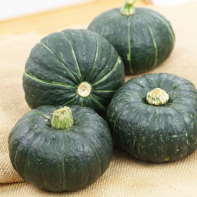Chinese Pumpkin Seeds | Early Maturing, Chestnut Flavor, Thick Flesh, Storage Tolerant, Easy to Grow