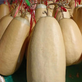 'Large Winter Melon' Gourd Seeds – Easy to Grow, Simple Maintenance, Versatile Use, Perfect for Courtyard Planting