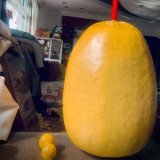 'Large Winter Melon' Gourd Seeds – Easy to Grow, Simple Maintenance, Versatile Use, Perfect for Courtyard Planting