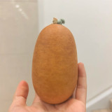 'Little Winter Melon' Gourd Seeds – Easy to Grow, Highly Adaptable, Sun-Loving, Perfect for Beginners